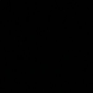 Meet your Posher, Rae